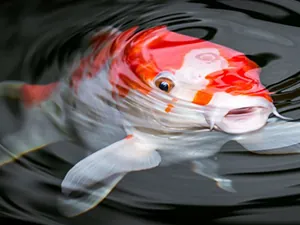 3565