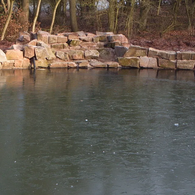 Carter's ponds & landscapes - ponds and waterfalls