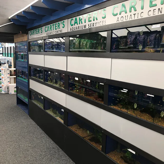 shop image view