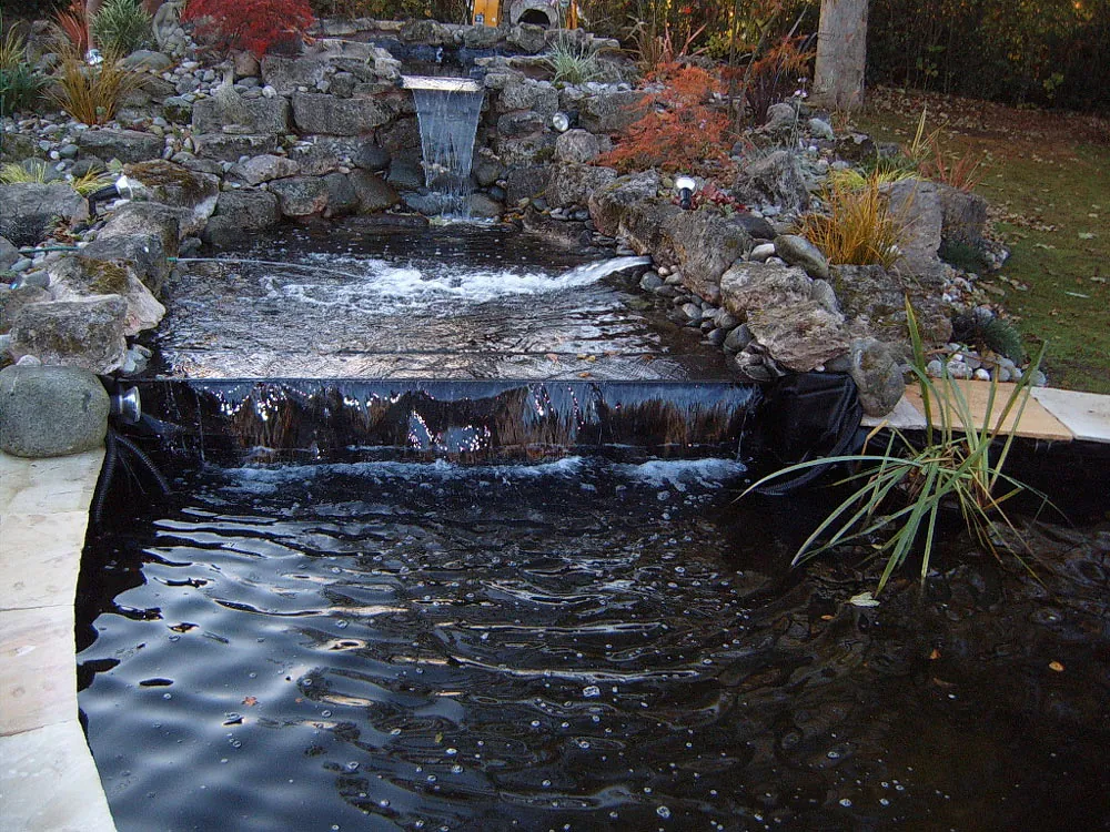garden pond