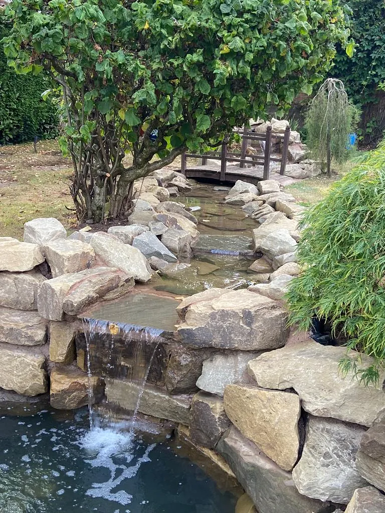 Carters Traditional pond