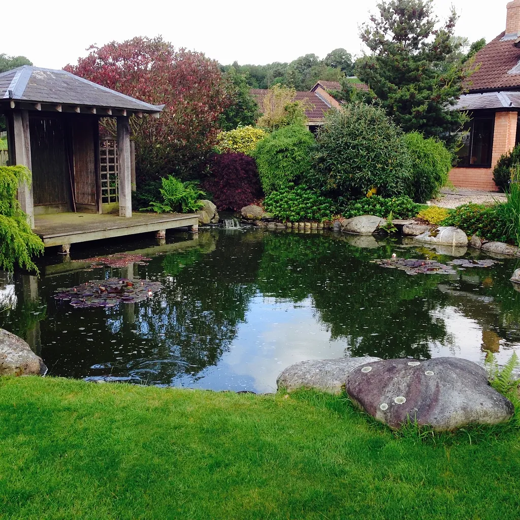 Carters traditional pond