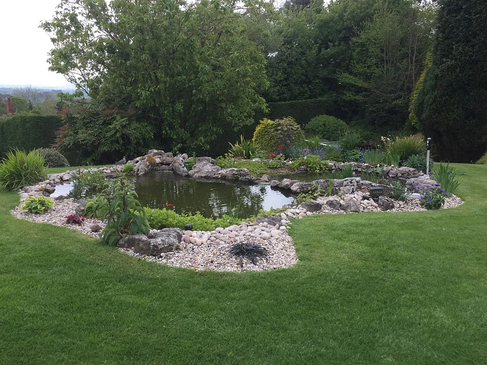 landscape and pond