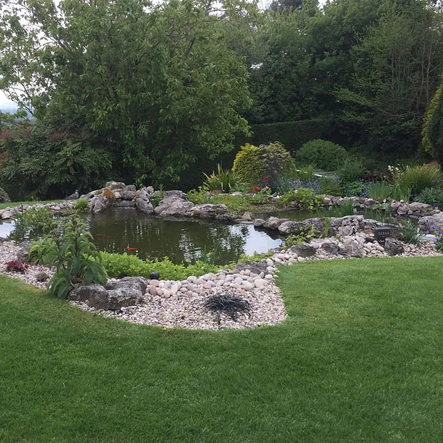 Carter's Pond & Landscape - Landscaping