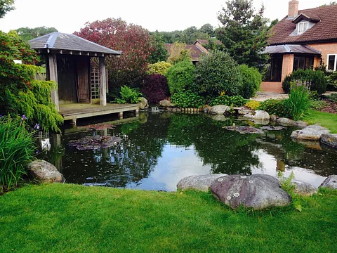Carter's ponds & landscapes - ponds and waterfalls