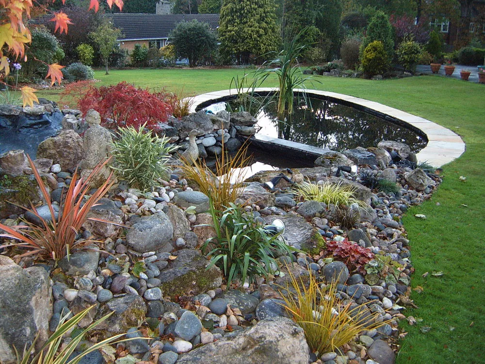 garden pond