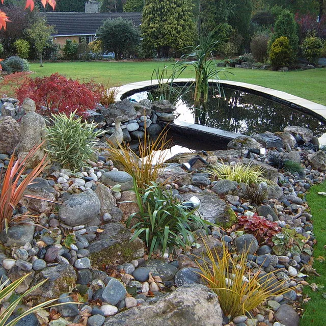 Carter's ponds & landscapes - ponds and waterfalls