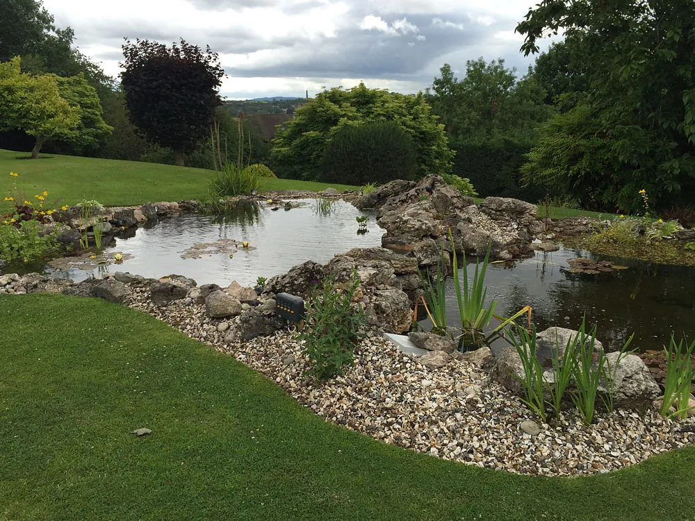 landscape and pond