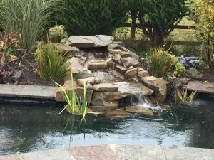 Pond service