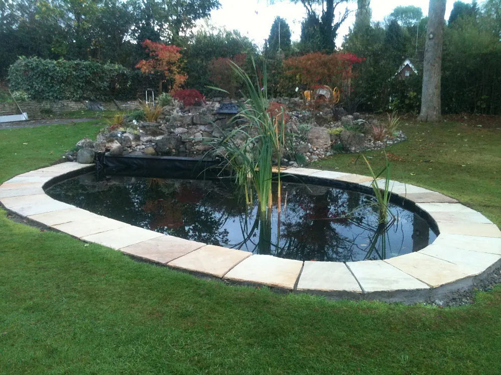 garden pond